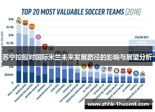 苏宁控股对国际米兰未来发展路径的影响与展望分析 苏宁控股对国际米兰未来发展路径的影响与展望分析