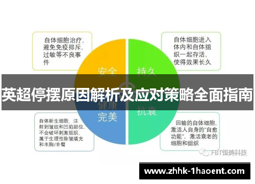 英超停摆原因解析及应对策略全面指南 英超停摆原因解析及应对策略全面指南