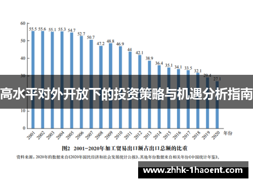 高水平对外开放下的投资策略与机遇分析指南 高水平对外开放下的投资策略与机遇分析指南